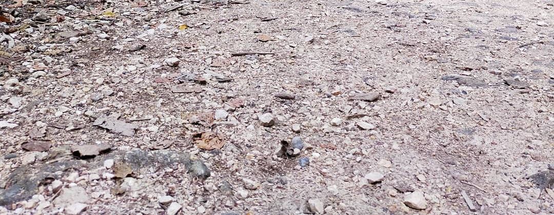 Evgenii and Evgenia - first time mountainboarding - Featured image