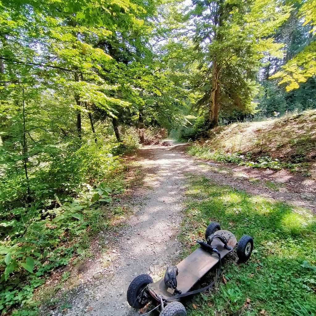 120042273 10158246823684160 3348728293732097088 o