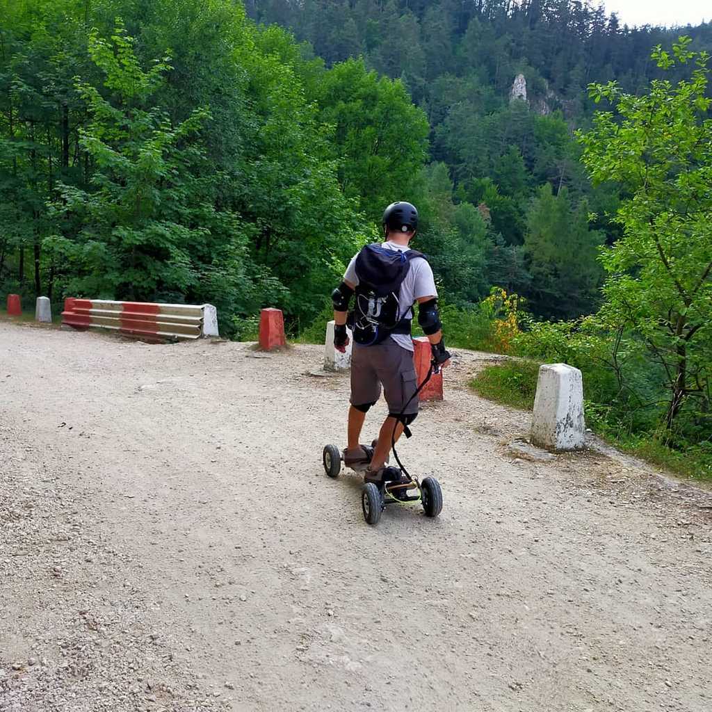 221355745 10158995663069160 7034395206856908277 n