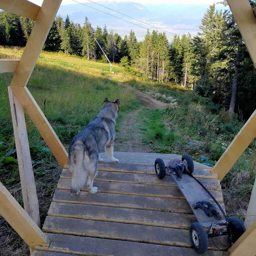 119927569 10158238184709160 4405183196755473144 o